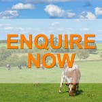 TV-Enquire-Now
